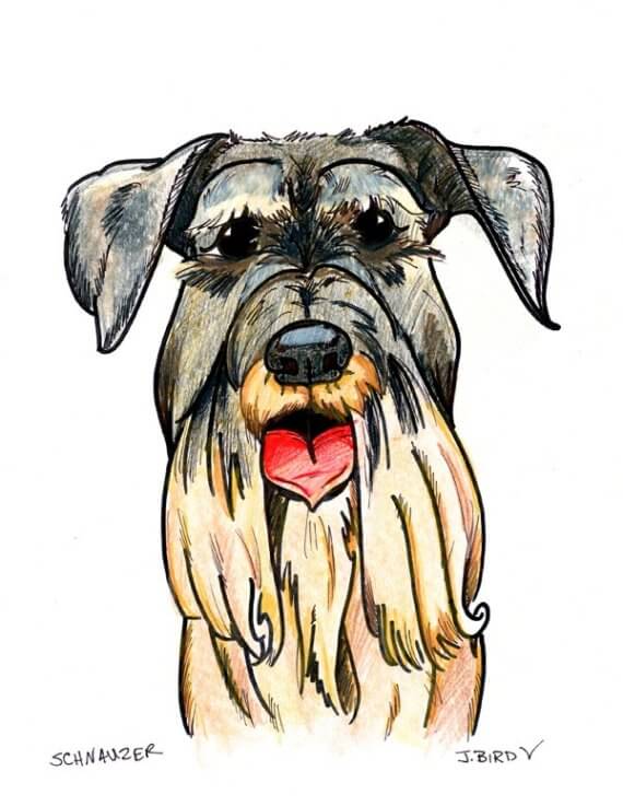 DOG ART, DRAWINGS, PAINT, Dogicature (c) by J.Bird