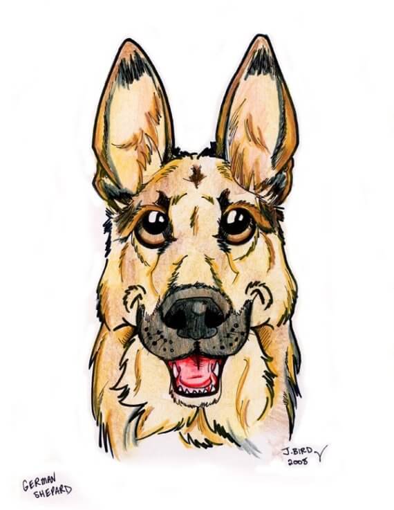 DOG ART, DRAWINGS, PAINT, Dogicature (c) by J.Bird