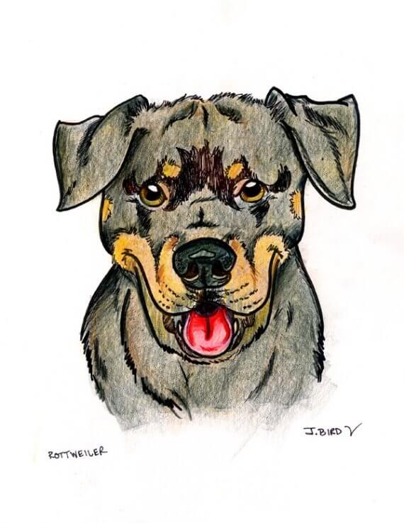 DOG ART, DRAWINGS, PAINT, Dogicature (c) by J.Bird