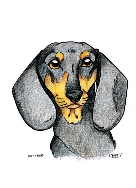 DOG ART, DRAWINGS, PAINT, Dogicature (c) by J.Bird