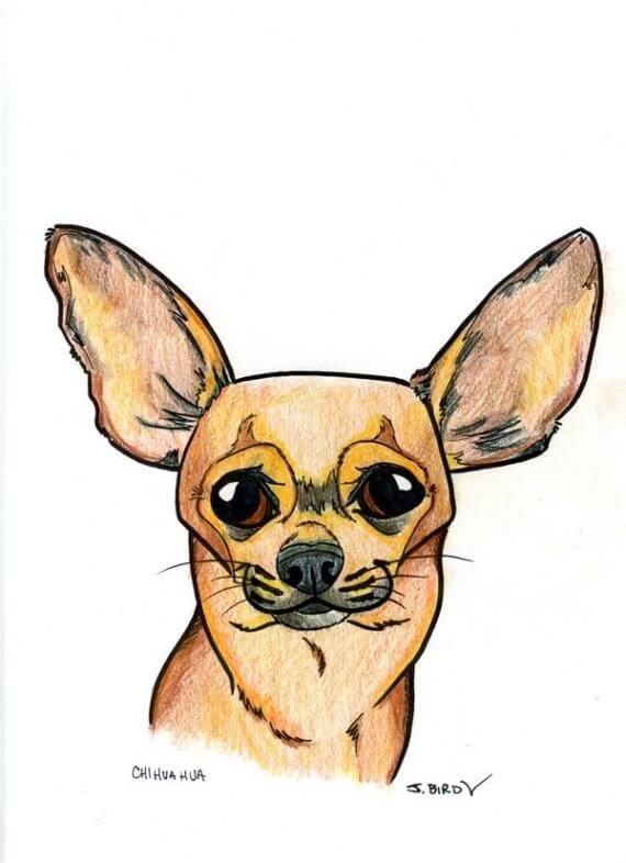 DOG ART, DRAWINGS, PAINT, Dogicature (c) by J.Bird