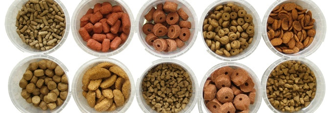 DOG FOOD TYPES