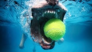 DOG AND PUPPY UNDERWATER VIDEO