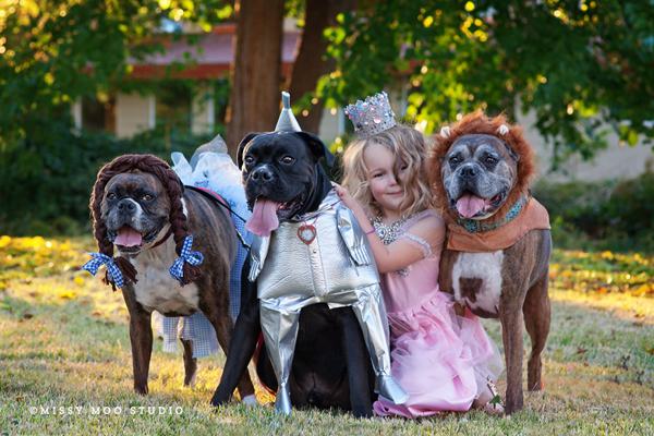 Extreme Dog Dress Photos