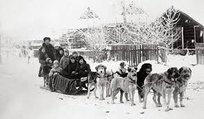 Sled Dog Race History and Origins