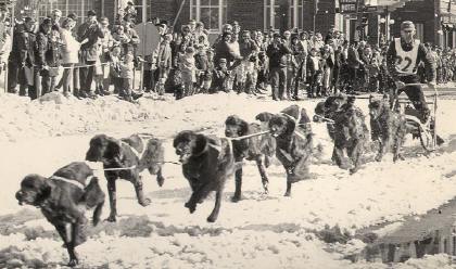 Sled Dog Race History and Origins