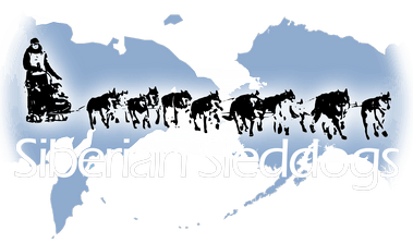 Sled Dogs Mushing TOURS