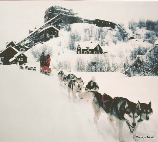 Sled Dogs Mushing TOURS