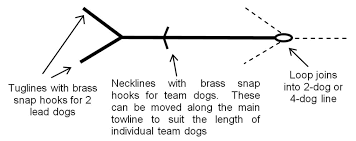 Sled Dogs Mushing Harness Measure