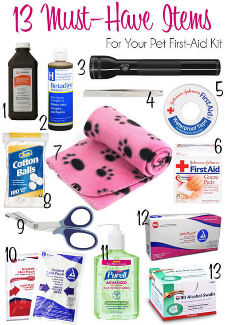 Dogs Medicine, Veterinary, First Aid