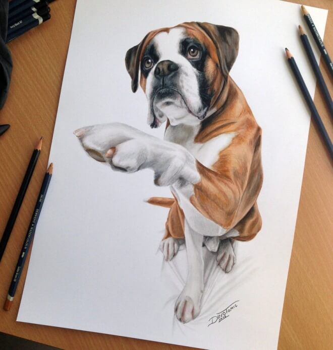 DOG ART, DRAWINGS, PAINT