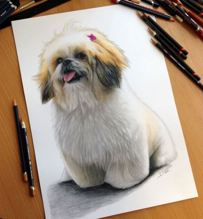 DOG ART, DRAWINGS, PAINT