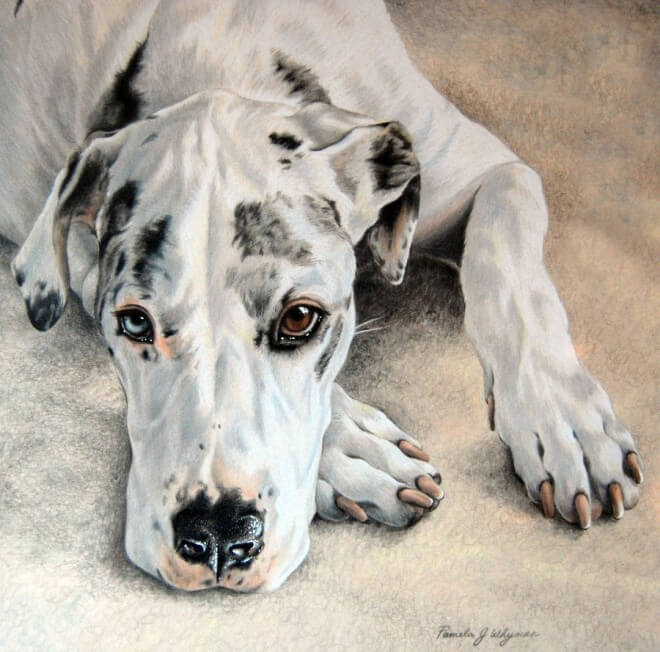 DOG ART, DRAWINGS, PAINT