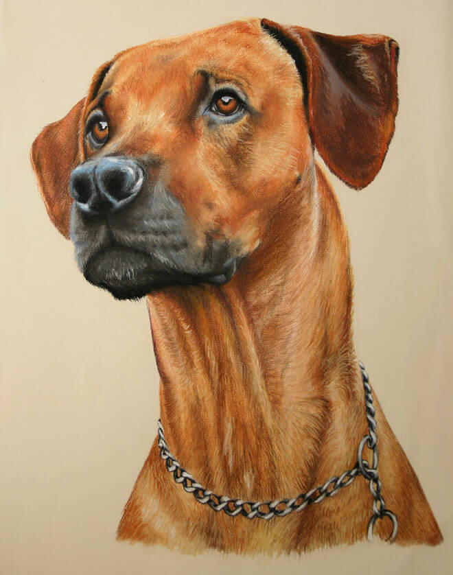 DOG ART, DRAWINGS, PAINT