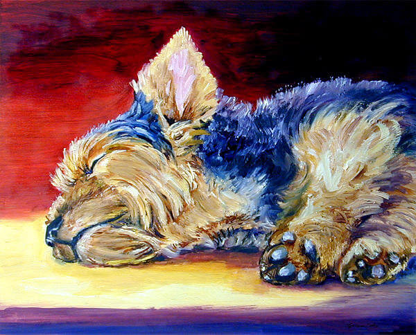 DOG ART, DRAWINGS, PAINT by LYN HAMER COOK