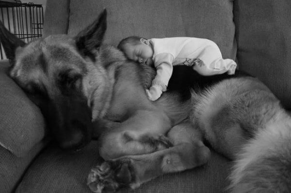 DOG AND KID