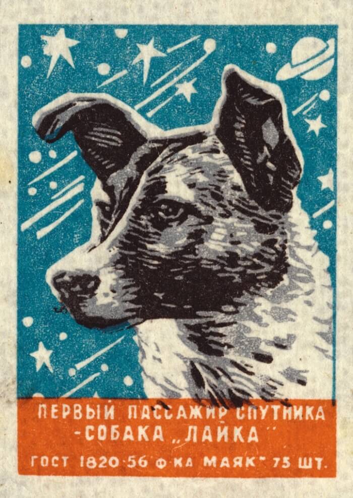 SOVIET SPACE DOG DRAWINGS