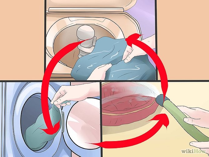 dog sniff, smell, scent, nose