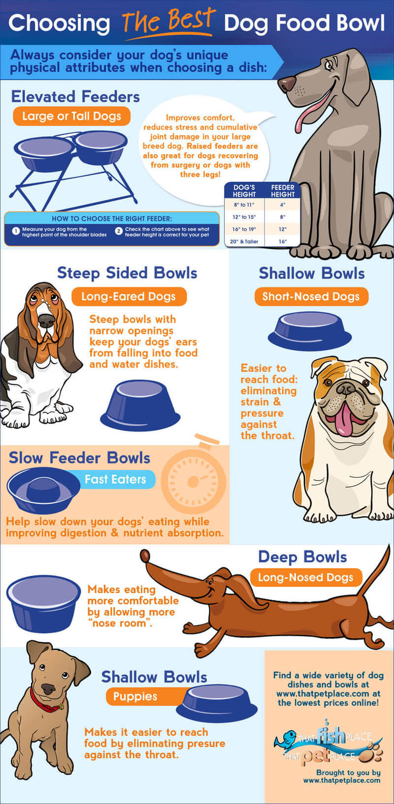 DOG FOOD BOWL