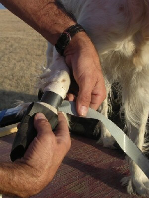 HOMEMADE DOG SHOES & BOOTS, HOW TO MAKE DOG BOOTS AT HOME