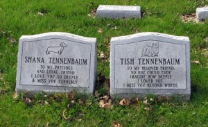 Dog Euthanasia, Dog R.I.P, How to deal with Pet Loss, Virtual Dog Memorials