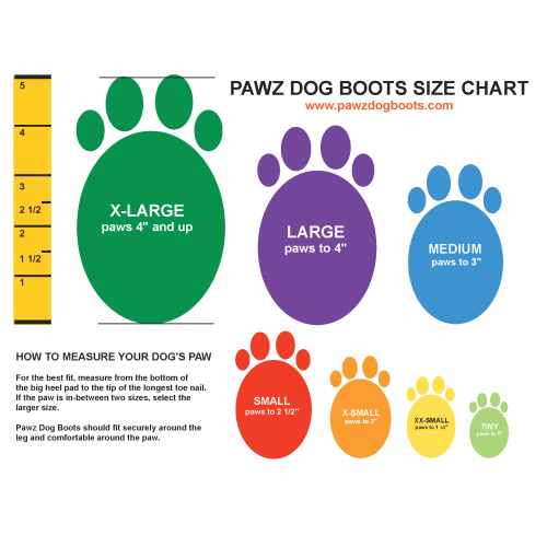 Dog Shoes and Boots How To Choose Guide Information