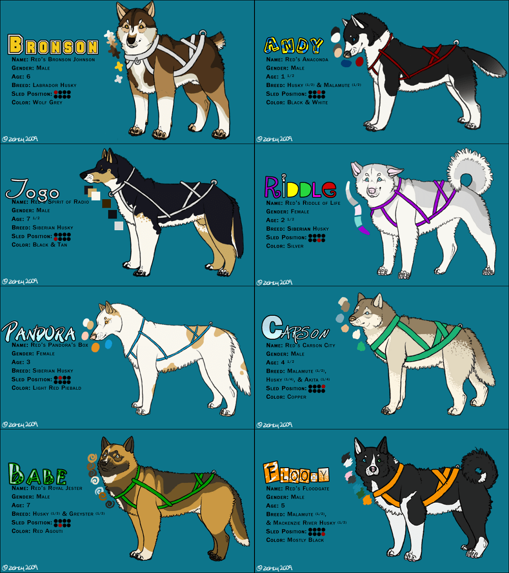 Sled Dog Breeds Infographic