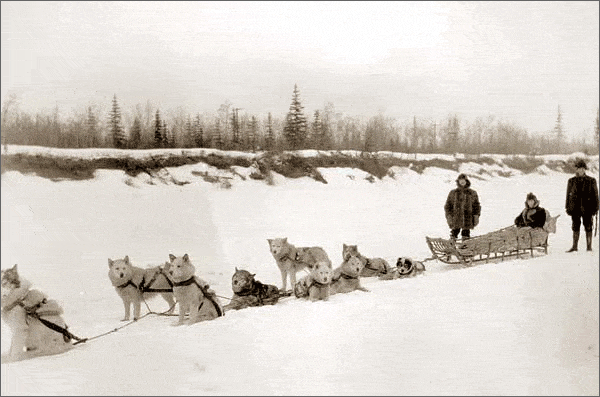 Sled Dog Race History and Origins