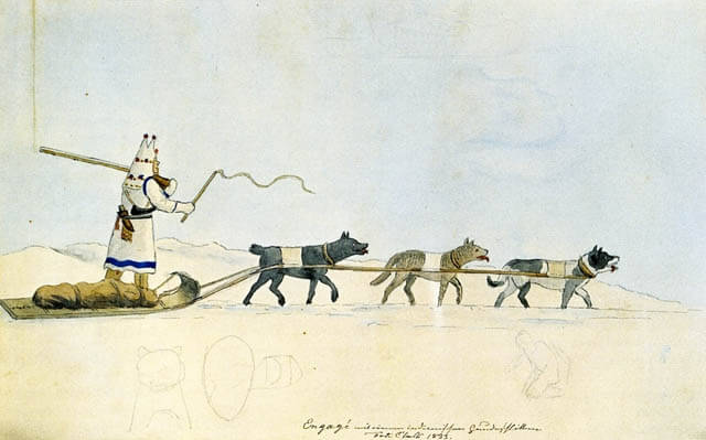 Sled Dog Race History and Origins