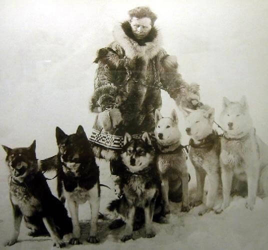 Sled Dog Race History and Origins