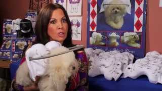 WATCH DOG & PUPPY VIDEO !!!
