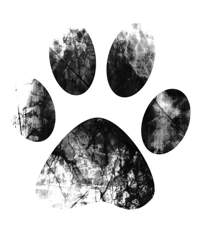 BEST PAW SHAPED FRIEND DOG TATTOO DESIGNS