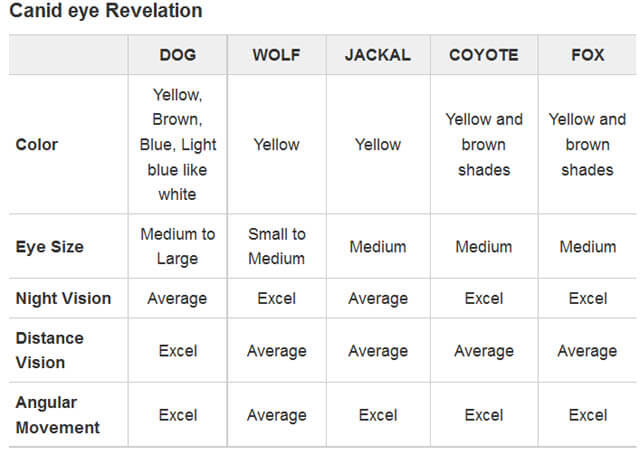 DOG vs WOLF BREEDING and GENETICS