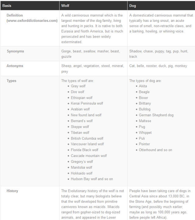 THIS MATERIAL & TABLE (c) by WWW.DIFFERENCEALL.COM - DOG vs WOLF COMPARISON: DIFFERENCE & SIMILARITY