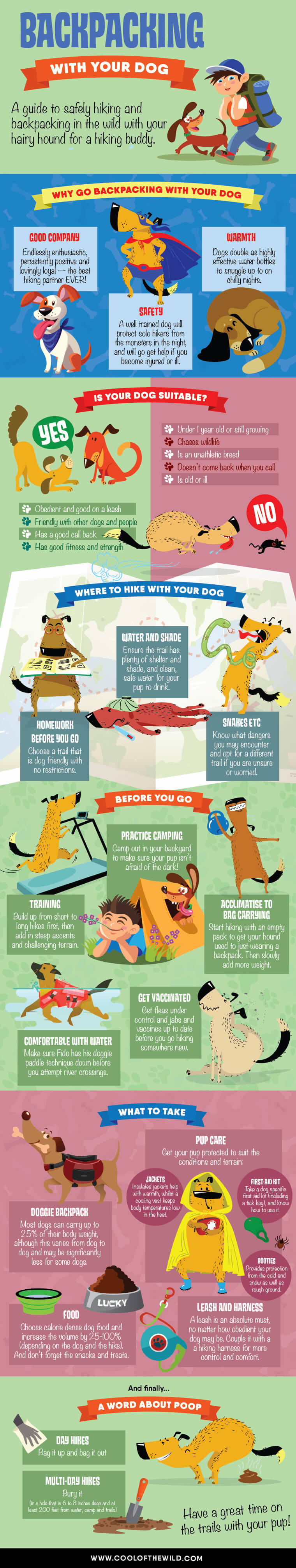 dog and puppy infograms, infographics