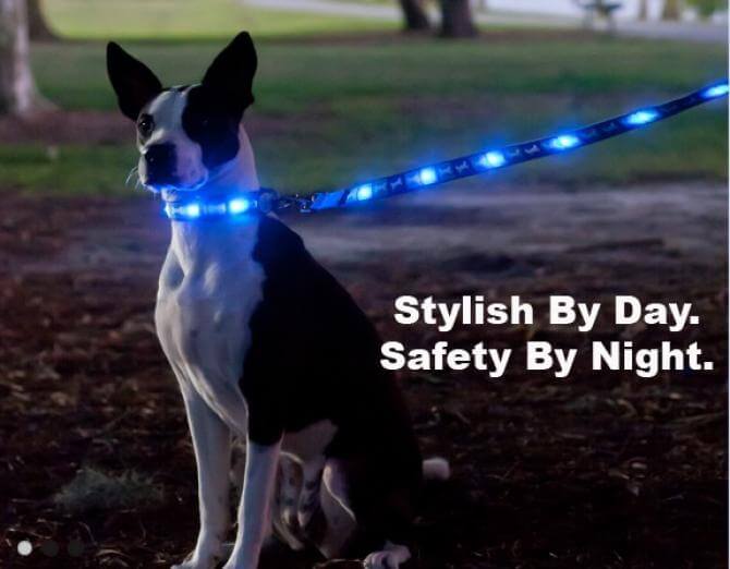 HOMEMADE DIY DOG COLLAR, LED CAR RESTRANT & ZIPPER