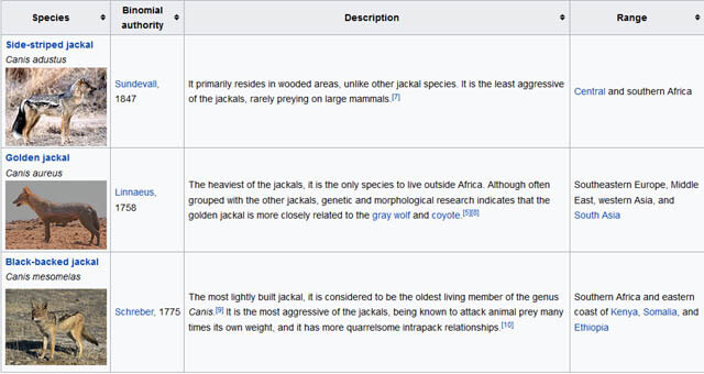 JACKAL INFORMATION TABLE by WWW.WIKIPEDIA.ORG