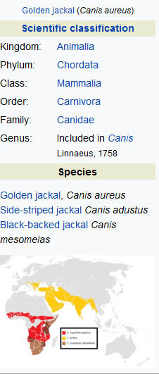 JACKAL INFORMATION TABLE by WWW.WIKIPEDIA.ORG