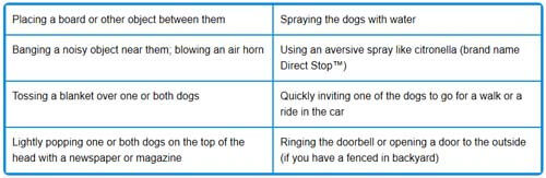 DOG AND PUPPY BEHAVIOR MISCONCEPTIONS