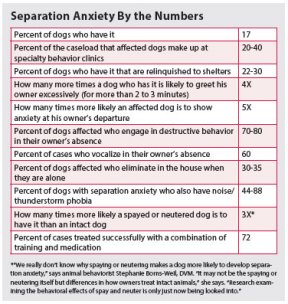 DOG SEPARATION ANXIETY STATISTICS & ANALISYS by WWW.TUFTSYOURDOG.COM !!!