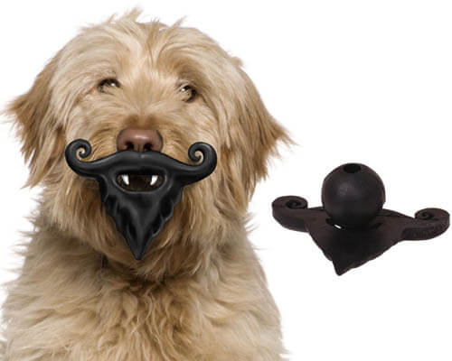 DOG WHISKERS, MOUSTACHE & MUSTACHE PHOTOS COLLECTION