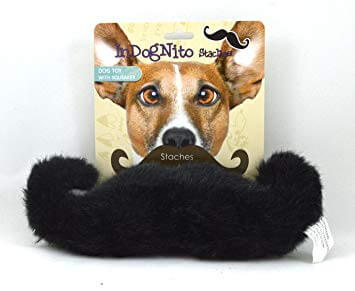 DOG WHISKERS, MOUSTACHE & MUSTACHE PHOTOS COLLECTION