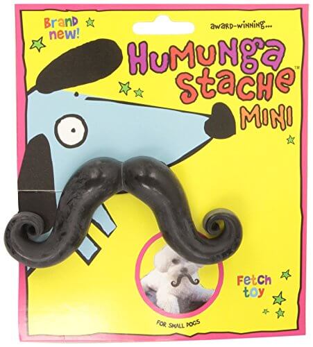 DOG WHISKERS, MOUSTACHE & MUSTACHE PHOTOS COLLECTION