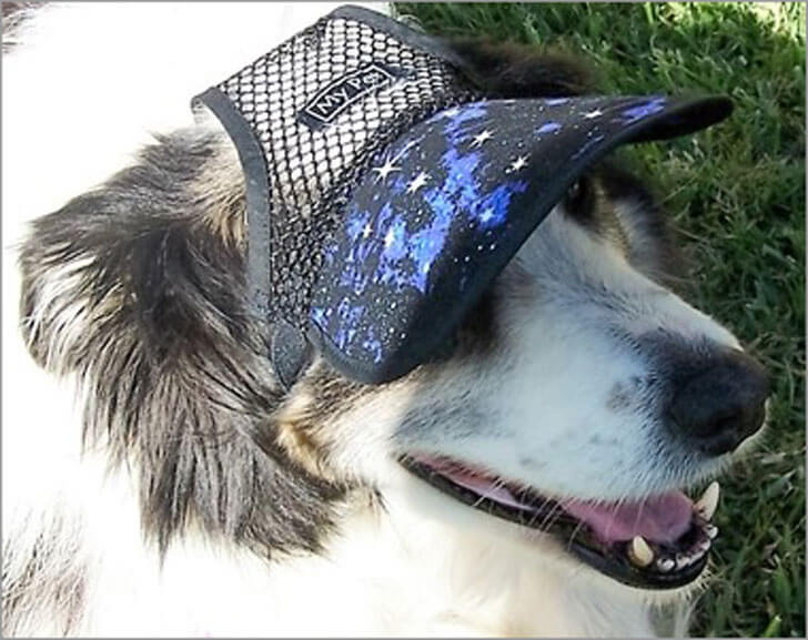 BUY ONLINE BEST DOG HAT, CAP, VISOR at WWW.ETSY.COM