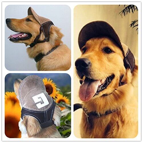 DOG HATS, WHY SHOULD DOG WEAR A HAT?