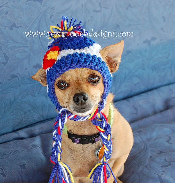 DOGS WEARING HATS - CALENDAR, MEME, IMAGES, WALLPAPER