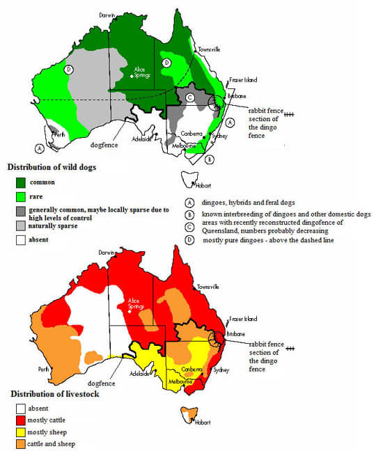 DINGO - THE WILD DOG DISTRIBUTION POPULATION MAP