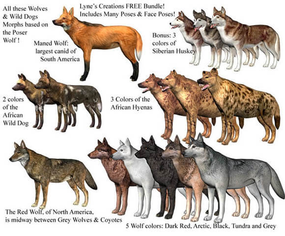 DOG vs WOLF BREEDING and GENETICS