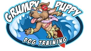 Watch dog and puppy video