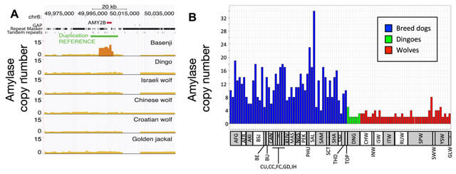 THIS INFO by PLOS GENETICS JOURNALS